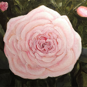 Rose Painting