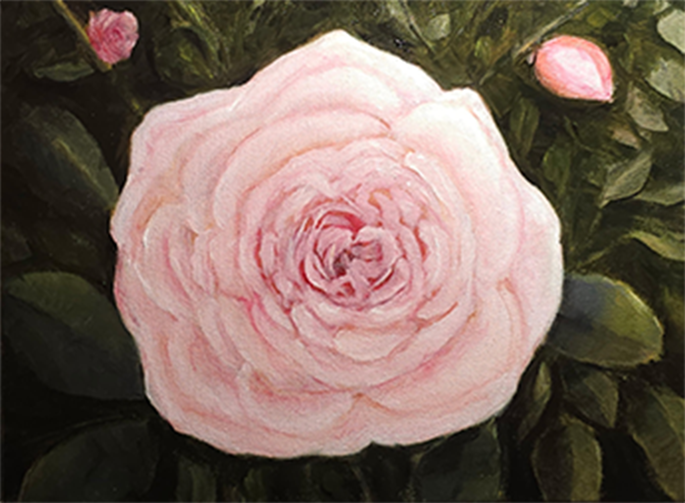 Rose Painting